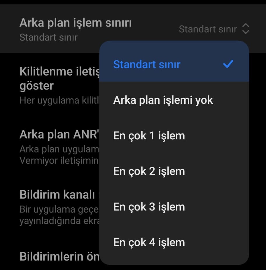 Ekran Parlaklık Seviyesi